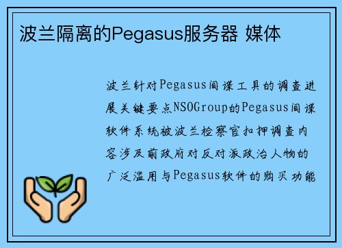 波兰隔离的Pegasus服务器 媒体
