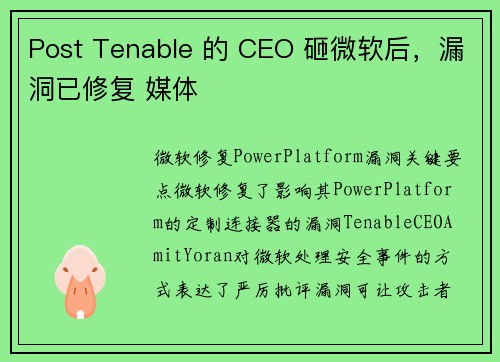Post Tenable 的 CEO 砸微软后，漏洞已修复 媒体